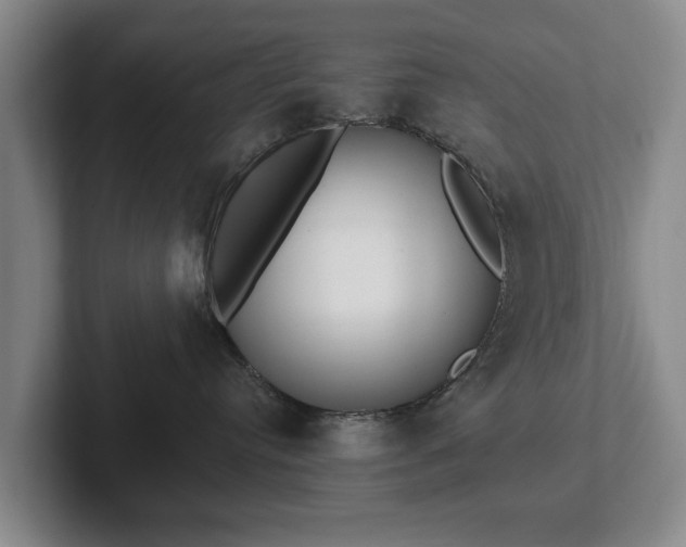 X0000102400384200808081309