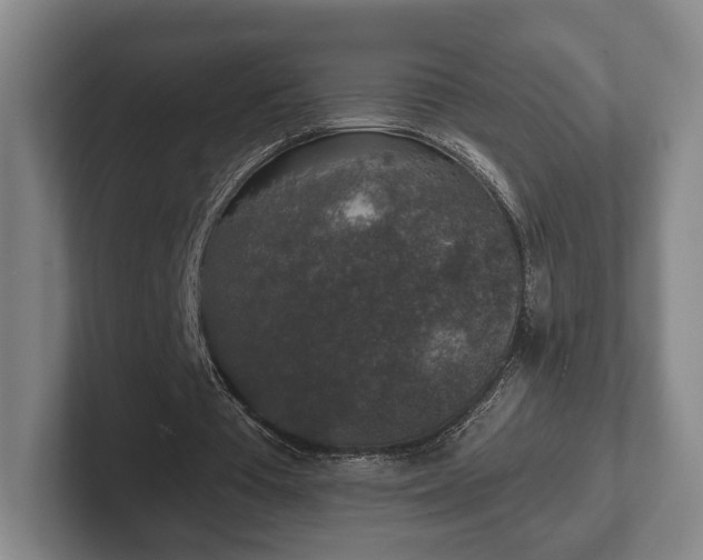 X0000102400385200808081309