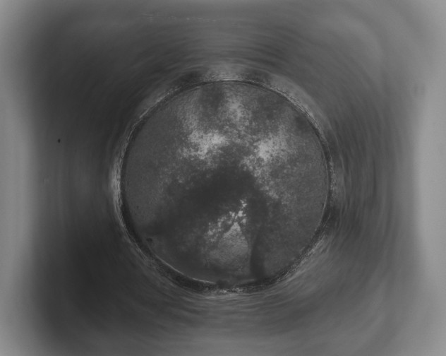 X0000102400386200808081309