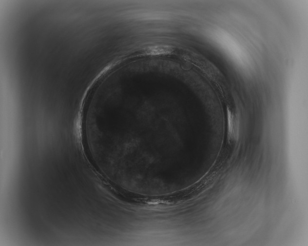 X0000102400387200808081309