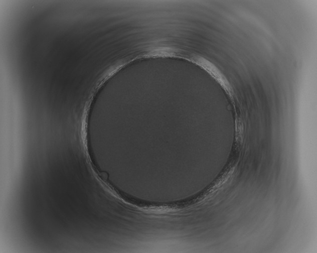 X0000102400389200808081309