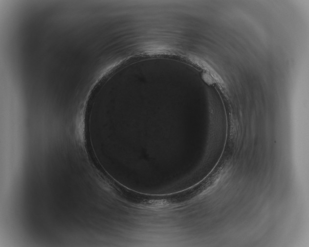 X0000102400391200808081309