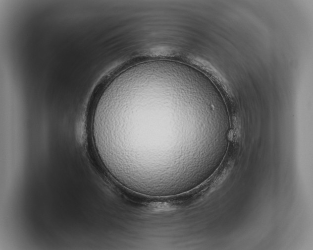 X0000102400392200808081309