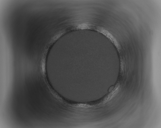 X0000102400393200808081309