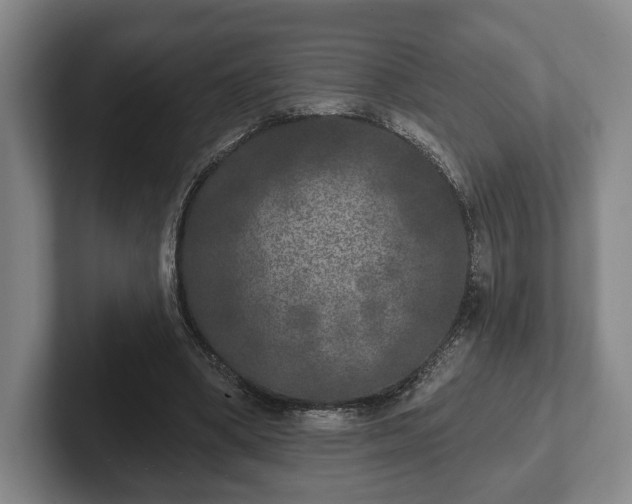 X0000102400394200808081309