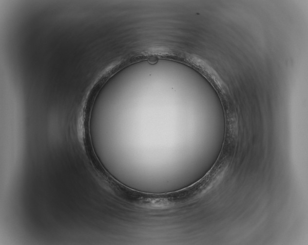 X0000102400395200808081308