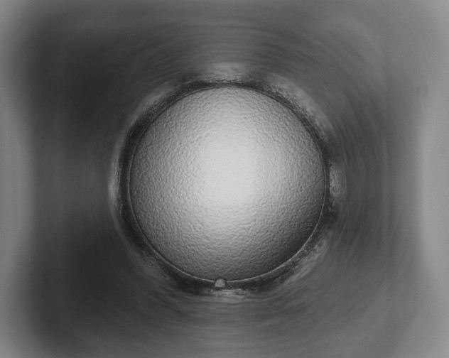 X0000102400396200808081308