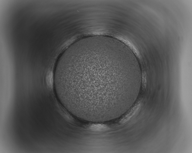 X0000102400397200808081308