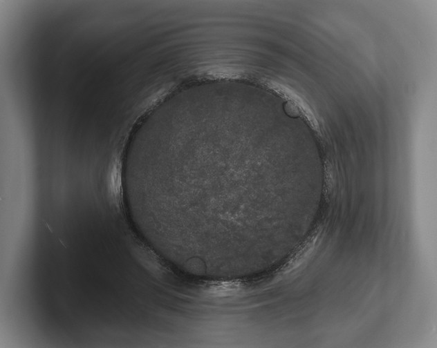 X0000102400398200808081308