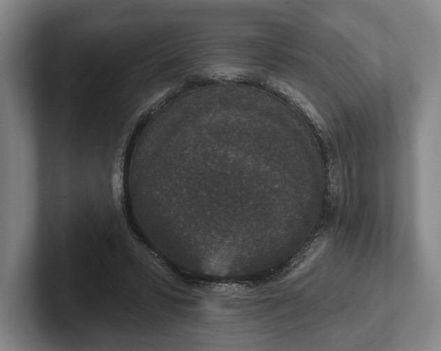 X0000102400399200808081308