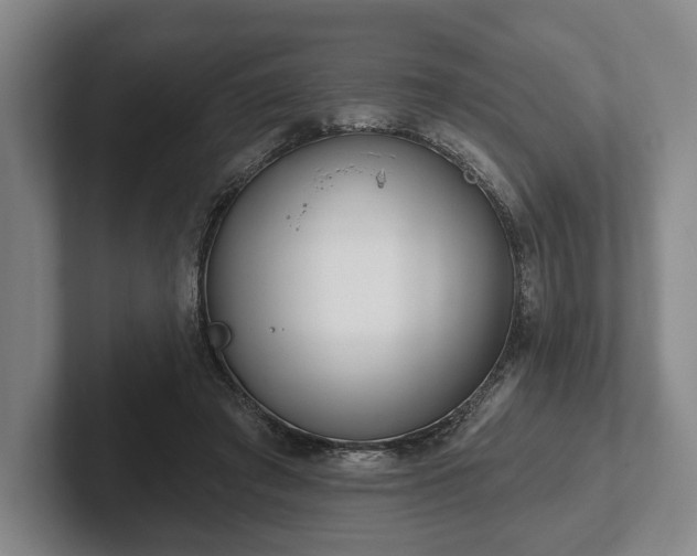 X0000102400401200808081308