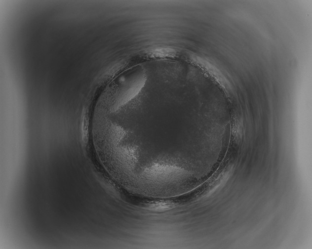 X0000102400402200808081308