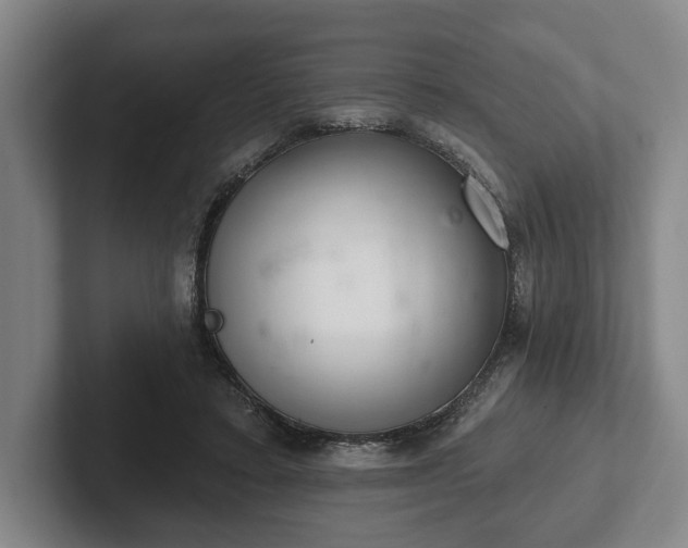 X0000102400403200808081308