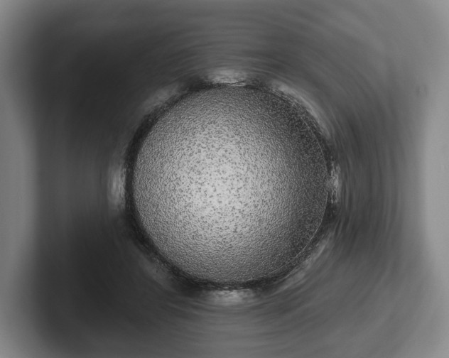 X0000102400404200808081308