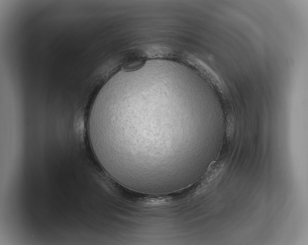 X0000102400405200808081308