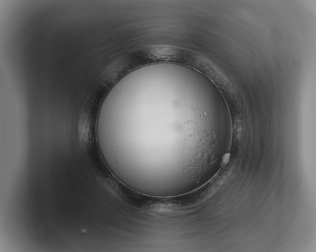 X0000102400408200808081308