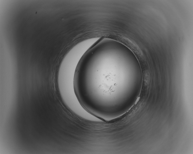 X0000102400409200808081308