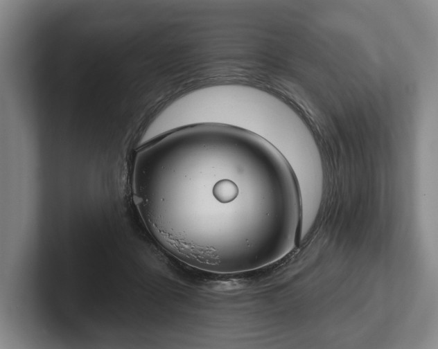 X0000102400411200808081308