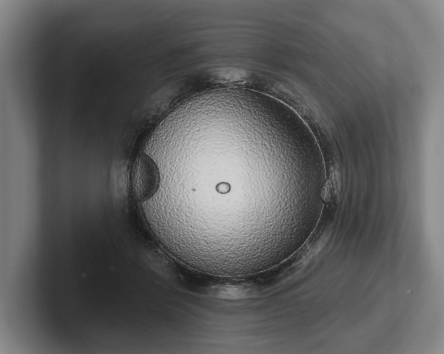 X0000102400412200808081308