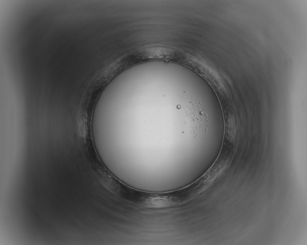 X0000102400413200808081308