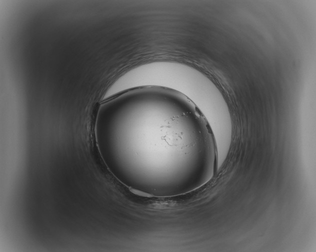 X0000102400415200808081308