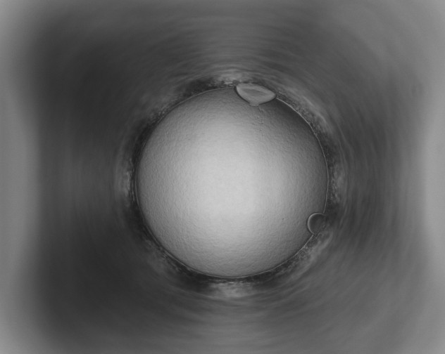 X0000102400417200808081308