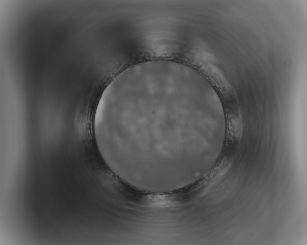 X0000102400419200808081308