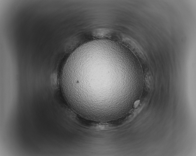 X0000102400420200808081308