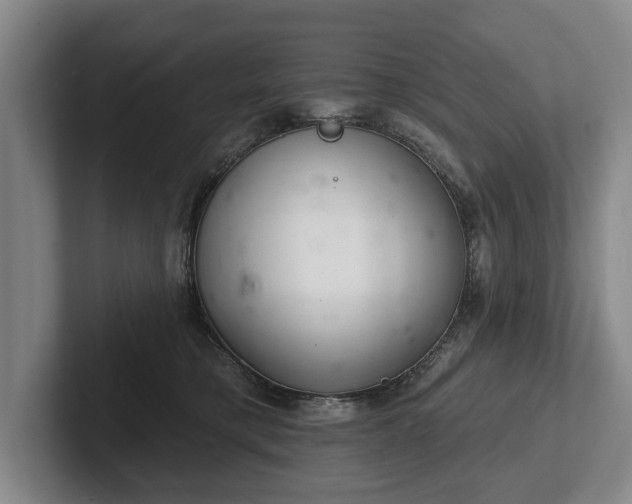 X0000102400421200808081308