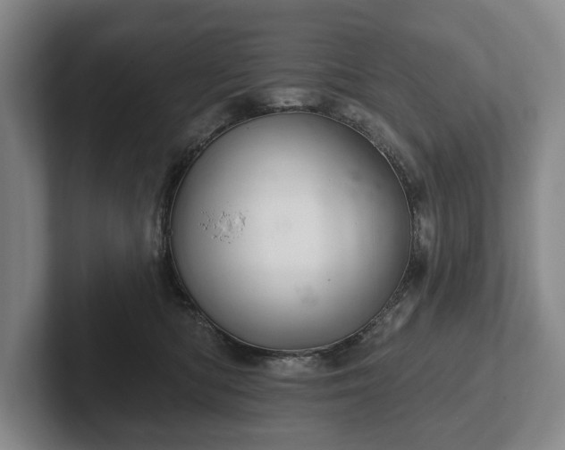 X0000102400422200808081308