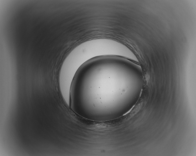 X0000102400423200808081308