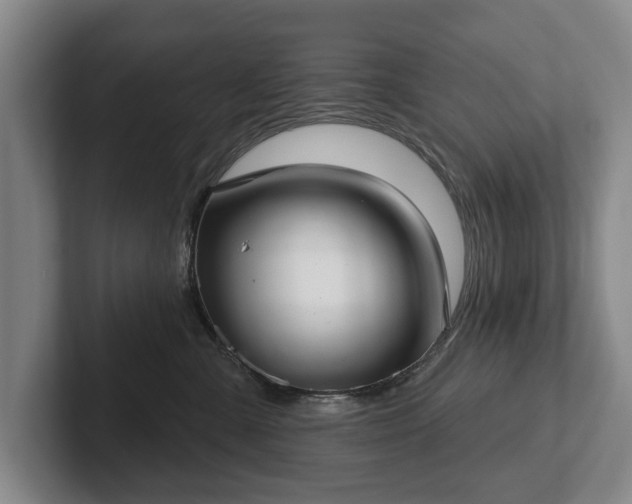 X0000102400427200808081308