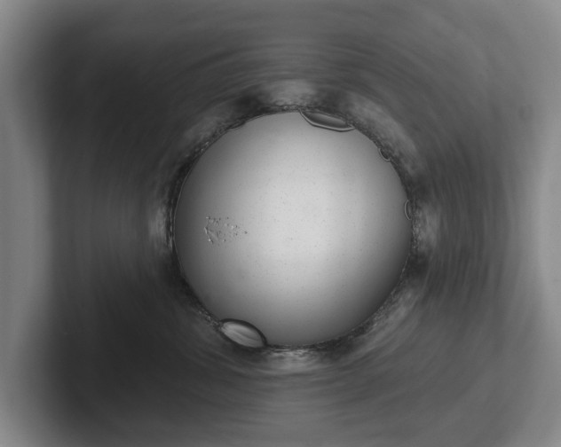 X0000102400428200808081308