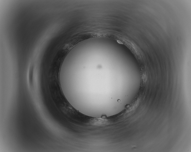 X0000102400429200808081308