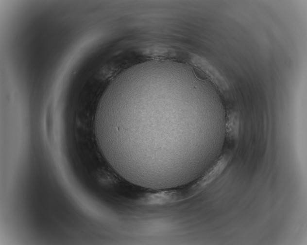 X0000102400430200808081308