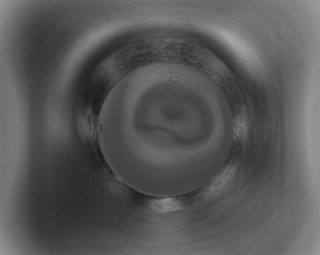 X0000102400431200808081308