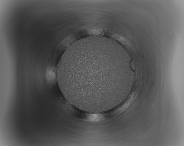 X0000102400432200808081308