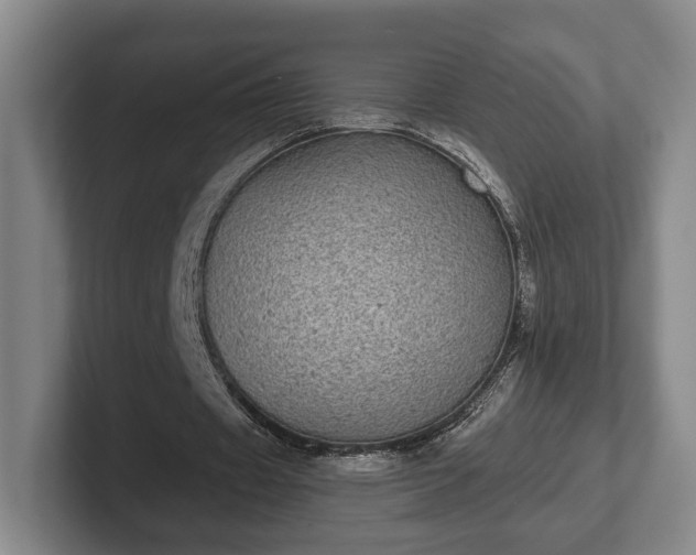 X0000102400433200808081307