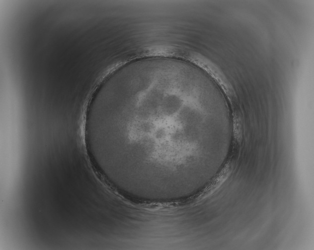 X0000102400434200808081307