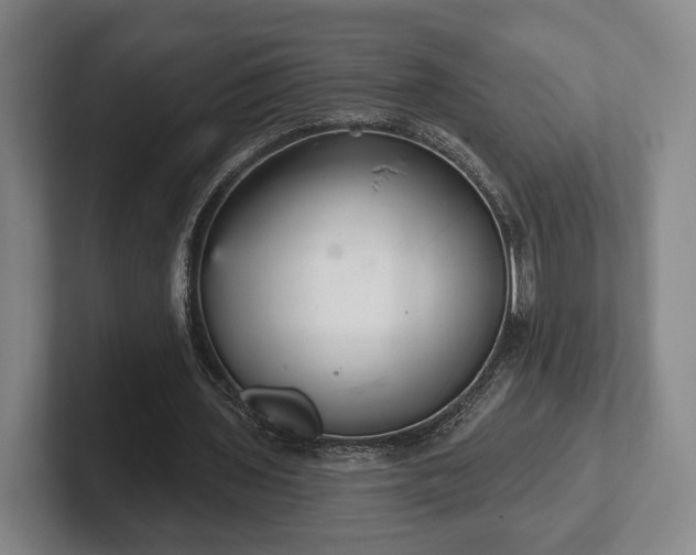 X0000102400435200808081307