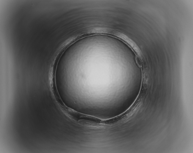 X0000102400437200808081307