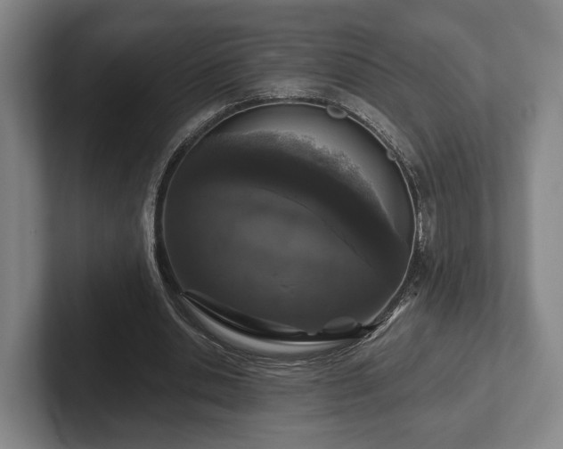 X0000102400438200808081307