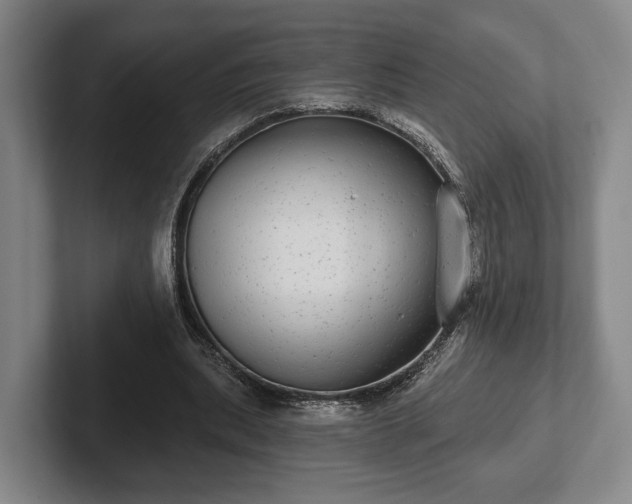 X0000102400439200808081307