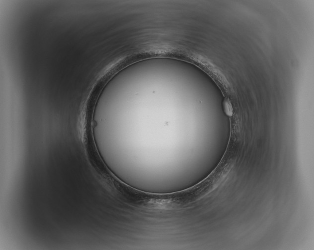 X0000102400440200808081307