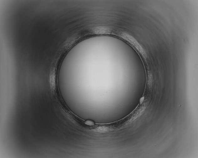 X0000102400441200808081307