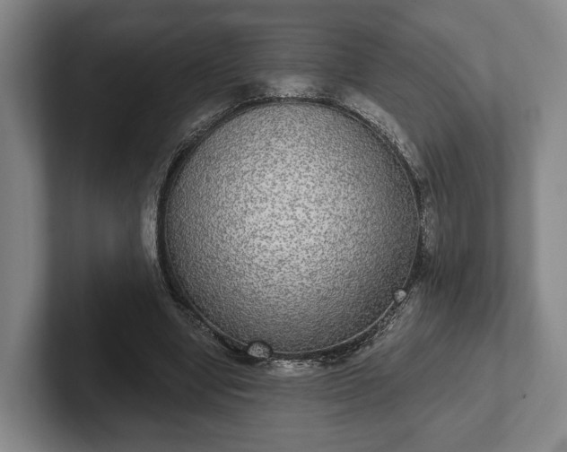 X0000102400442200808081308