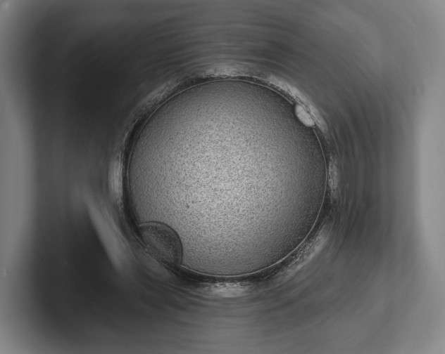 X0000102400445200808081308