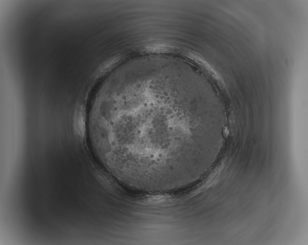 X0000102400446200808081308