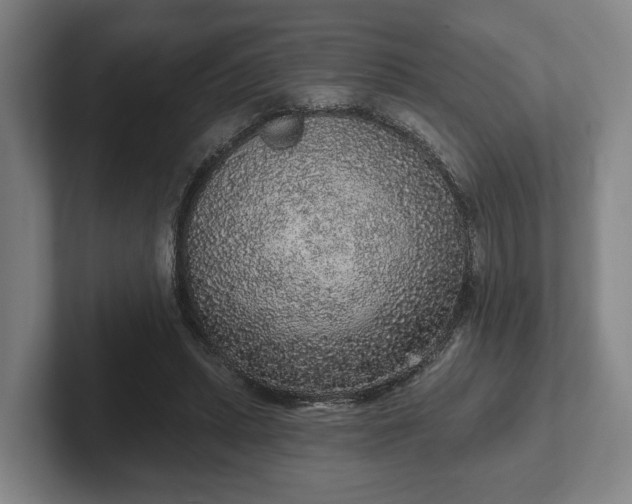 X0000102400447200808081308