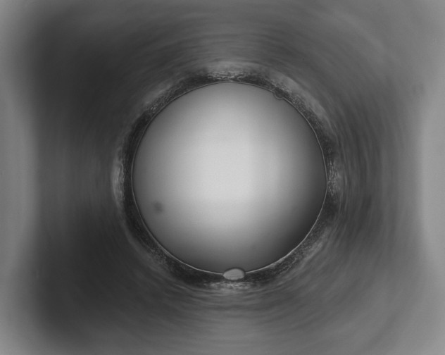 X0000102400448200808081308